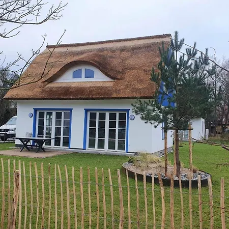 Ferienhaus Traumgarten Traumzeit Prerow