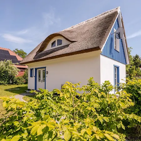 Traumgarten Traumzeit Ferienhaus Prerow